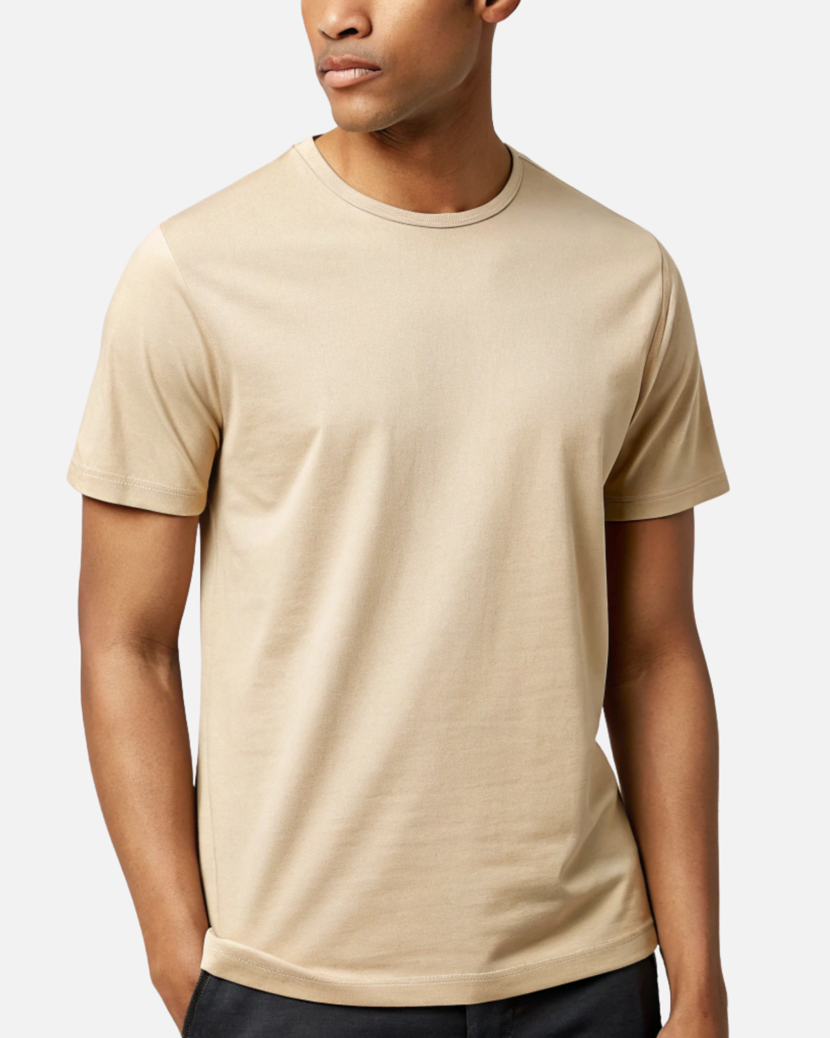 Beige Regular Fit T-shirt